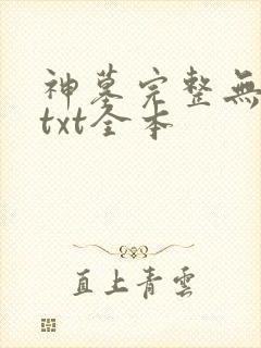 神墓完整无删减txt全本