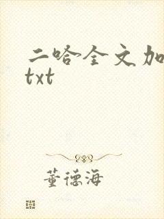 二哈全文加番外txt