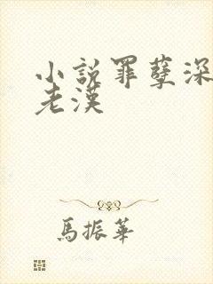 小说罪孽深重王老汉封面