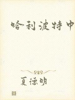 哈利波特中文版