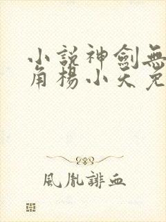 小说神剑无敌主角杨小天免费阅读