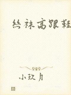 丝袜高跟鞋小说封面