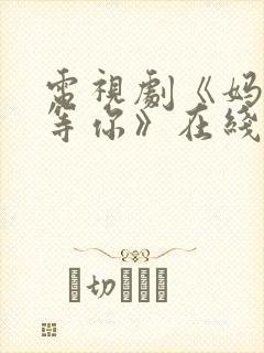 电视剧《妈妈在等你》在线观看