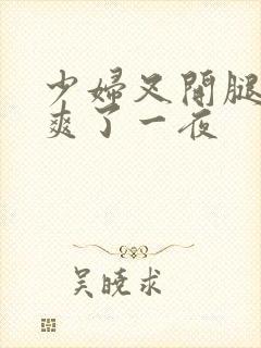 少妇叉开腿让我爽了一夜