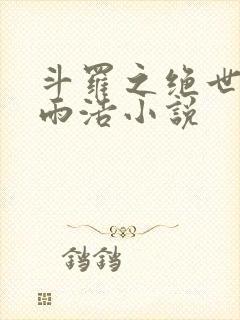 斗罗之绝世日月雨浩小说封面