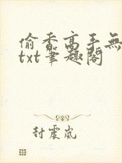 偷香高手无删减txt笔趣阁