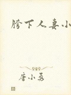 胯下人妻小说封面
