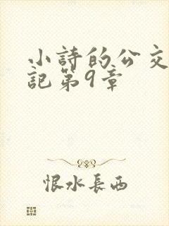 小诗的公交车日记第9章封面
