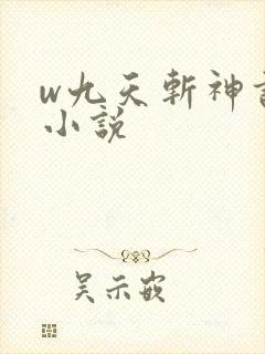 w九天斩神诀》小说