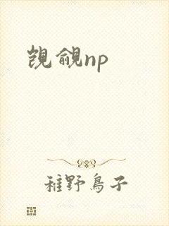 觊觎np
