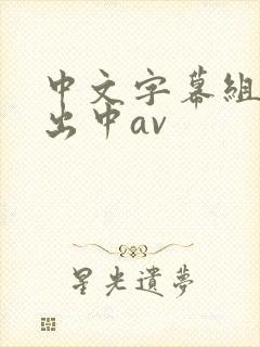 中文字幕组人妻出中av