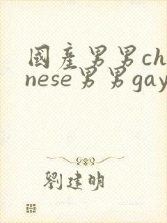 国产男男chinese男男gaygay网站