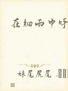 在细雨中呼喊