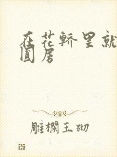 在花轿里就开始圆房封面