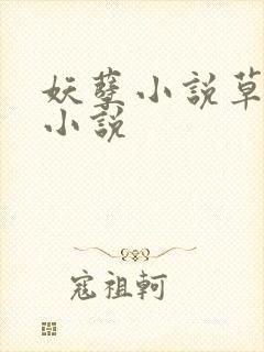 妖孽小说草莓酱小说