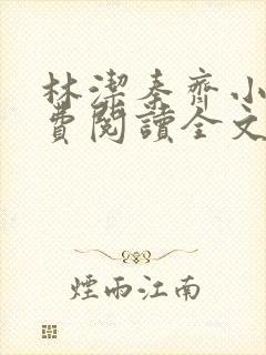 林洁秦齐小说免费阅读全文最新章节封面