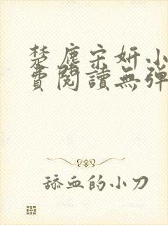 楚尘宋妍小说免费阅读无弹窗封面