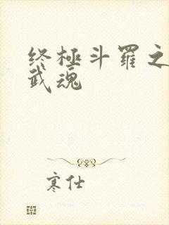 终极斗罗之三生武魂封面