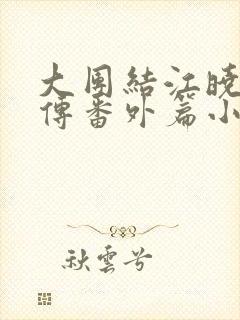 大团结江晓萍外传番外篇小说