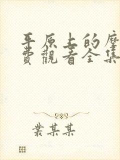 平原上的摩西免费观看全集封面