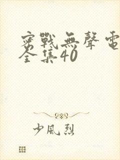 密战无声电视剧全集40封面