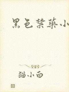 黑色禁药小说封面