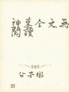 神墓全文无弹窗阅读封面