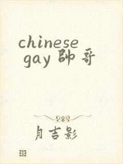 chinese gay 帅哥
