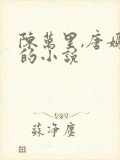 陈万里,唐嫣然的小说