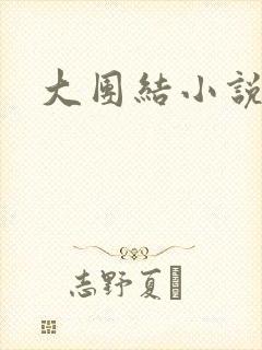 大团结小说下载