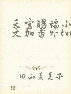 天官赐福小说全文加番外txt