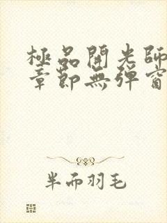 极品开光师最新章节无弹窗笔趣阁