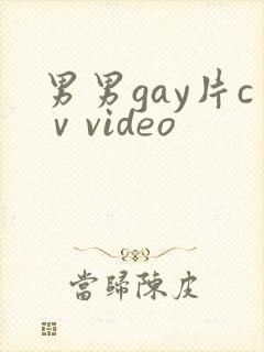 男男gay片cⅴvideo
