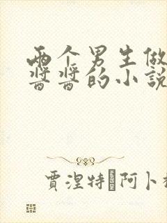 两个男生做酿酿酱酱的小说封面