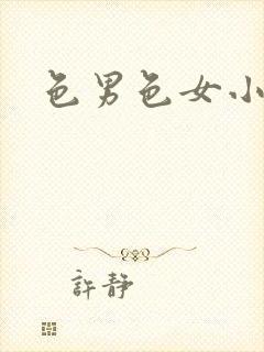 色男色女小说封面