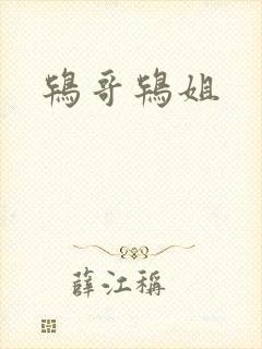 鸨哥鸨姐