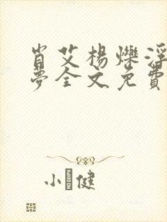 肖艾杨烁浮华逝梦全文免费阅读笔趣阁封面