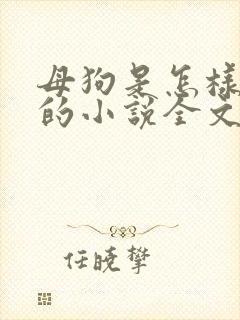 母狗是怎样操熟的小说全文阅读