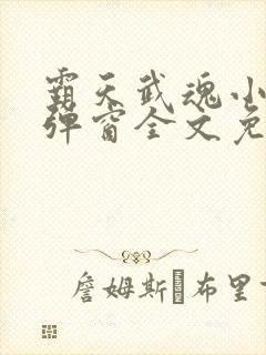 霸天武魂小说无弹窗全文免费阅读