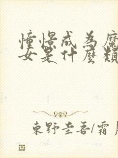 憧憬成为魔法少女是什么类型的动漫封面