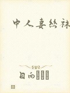 中人妻丝袜二区