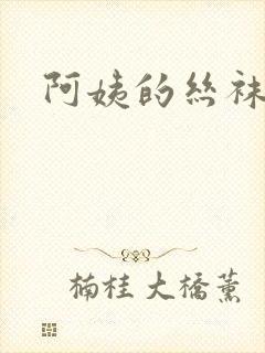 阿姨的丝袜小说