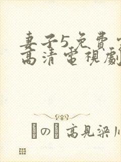 妻子5免费完整高清电视剧在线观看封面