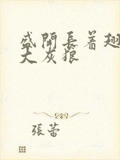 盛开长着翅膀的大灰狼封面