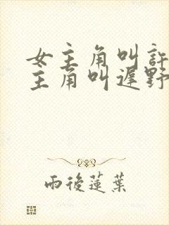 女主角叫许薇男主角叫迟野的小说名