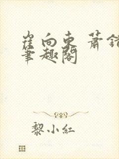 崔向东 萧错 笔趣阁