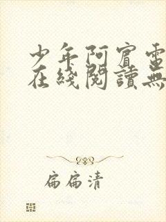 少年阿宾电子书在线阅读无删减