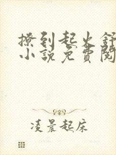 撩到起火舒漾的小说免费阅读全文