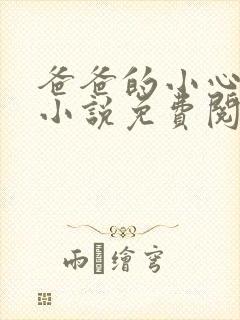 爸爸的小心肝儿小说免费阅读