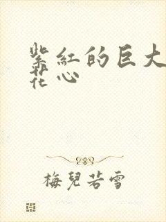 紫红的巨大顶开花心封面